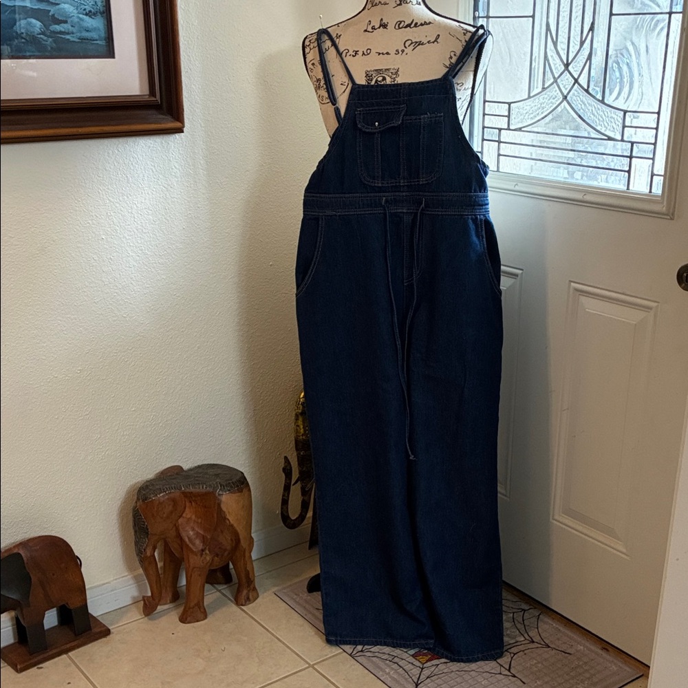 Women's Denim Overalls- Brand is Jeans-Sz- C10